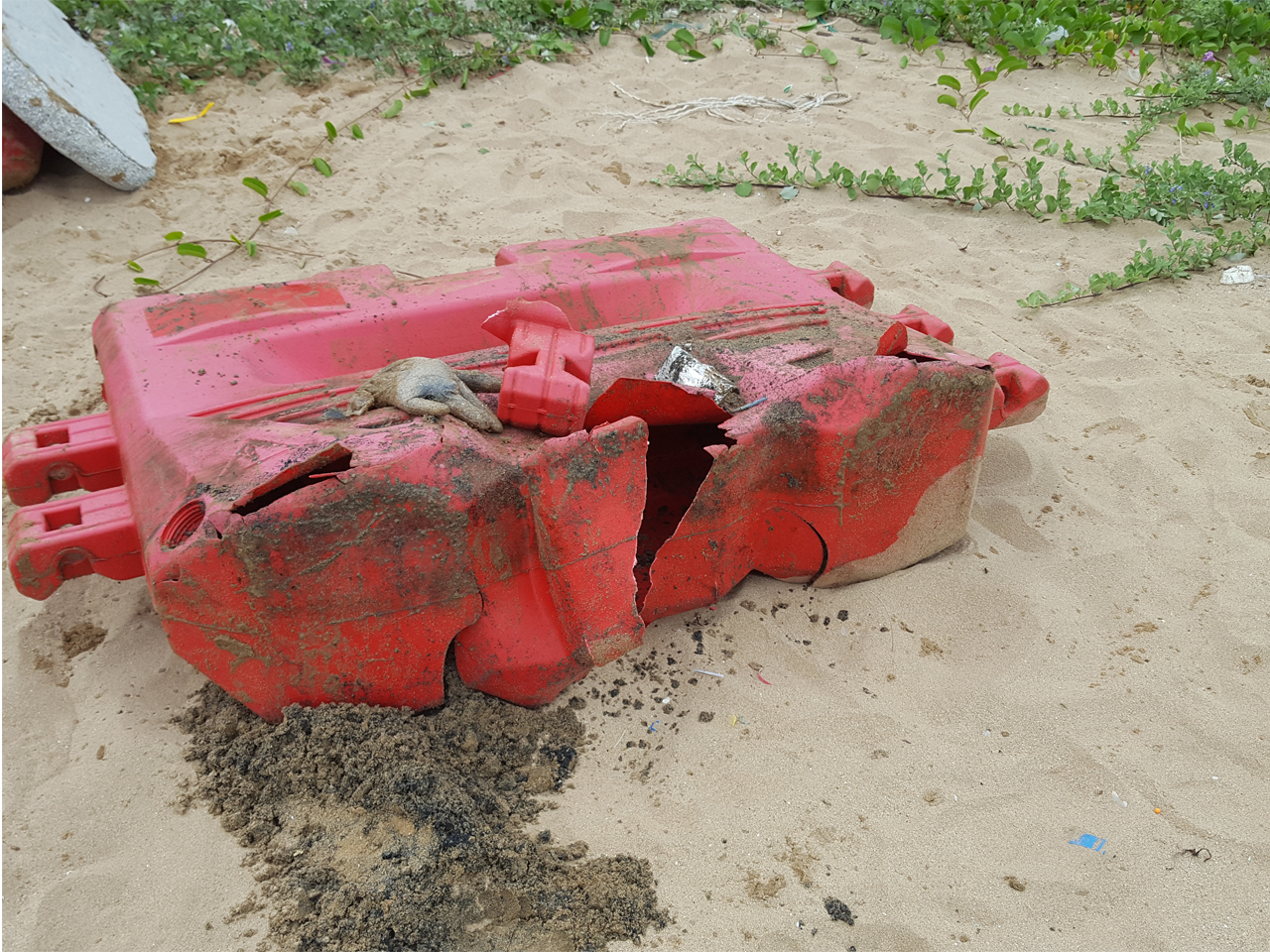 Fan Lau beach cleanup -- 8 September 2018