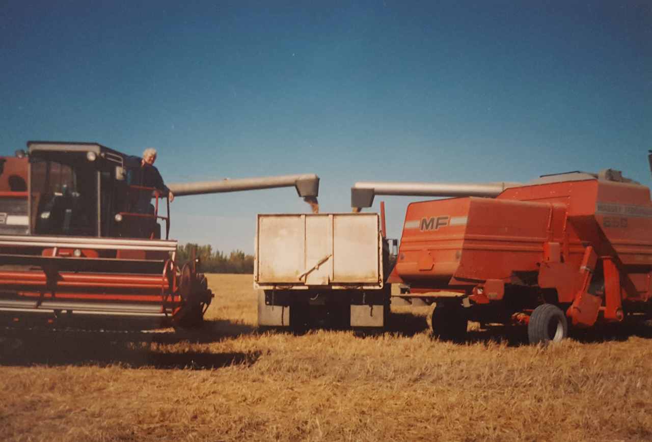 Harvest with Hazel at the wheel